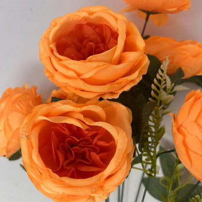 English Rose Bush x9 - 24" Orange | GTE