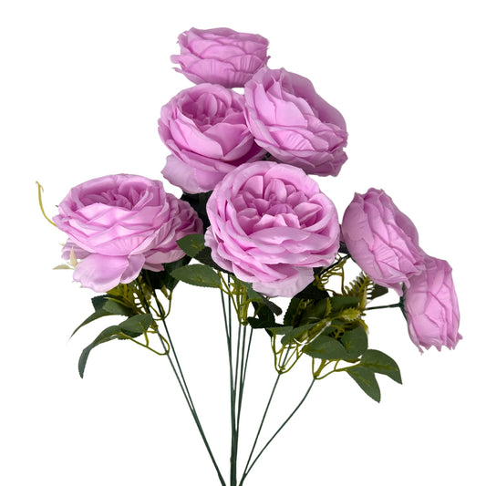 English Rose Bush x9 - 24" Lavender | GTE