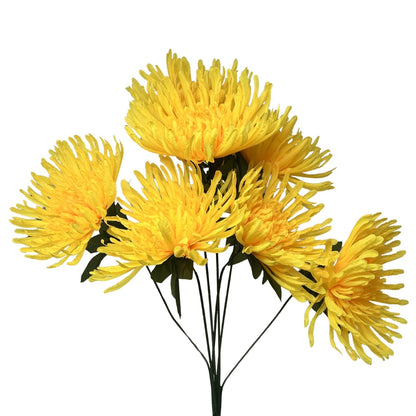 Large Spider Mum Bush x7 - 23" Yellow | GTE