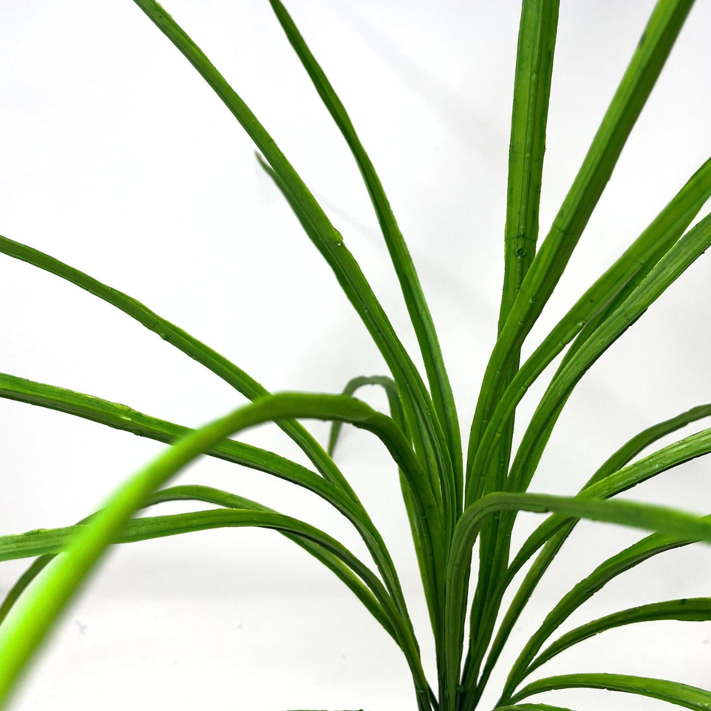 Mountain Grass Bush 26" - Green | GTE