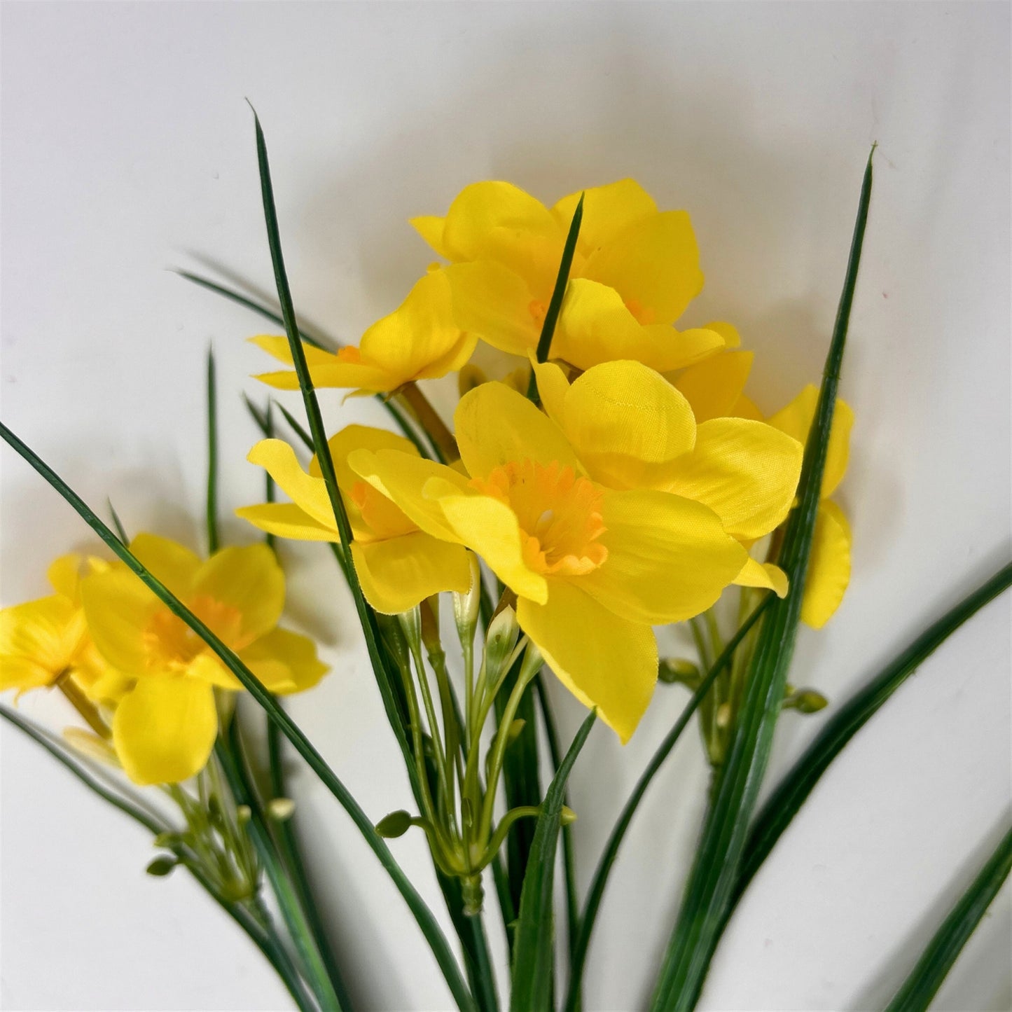 Narcissus Grass Bush x5 - 16" - Yellow | GTE
