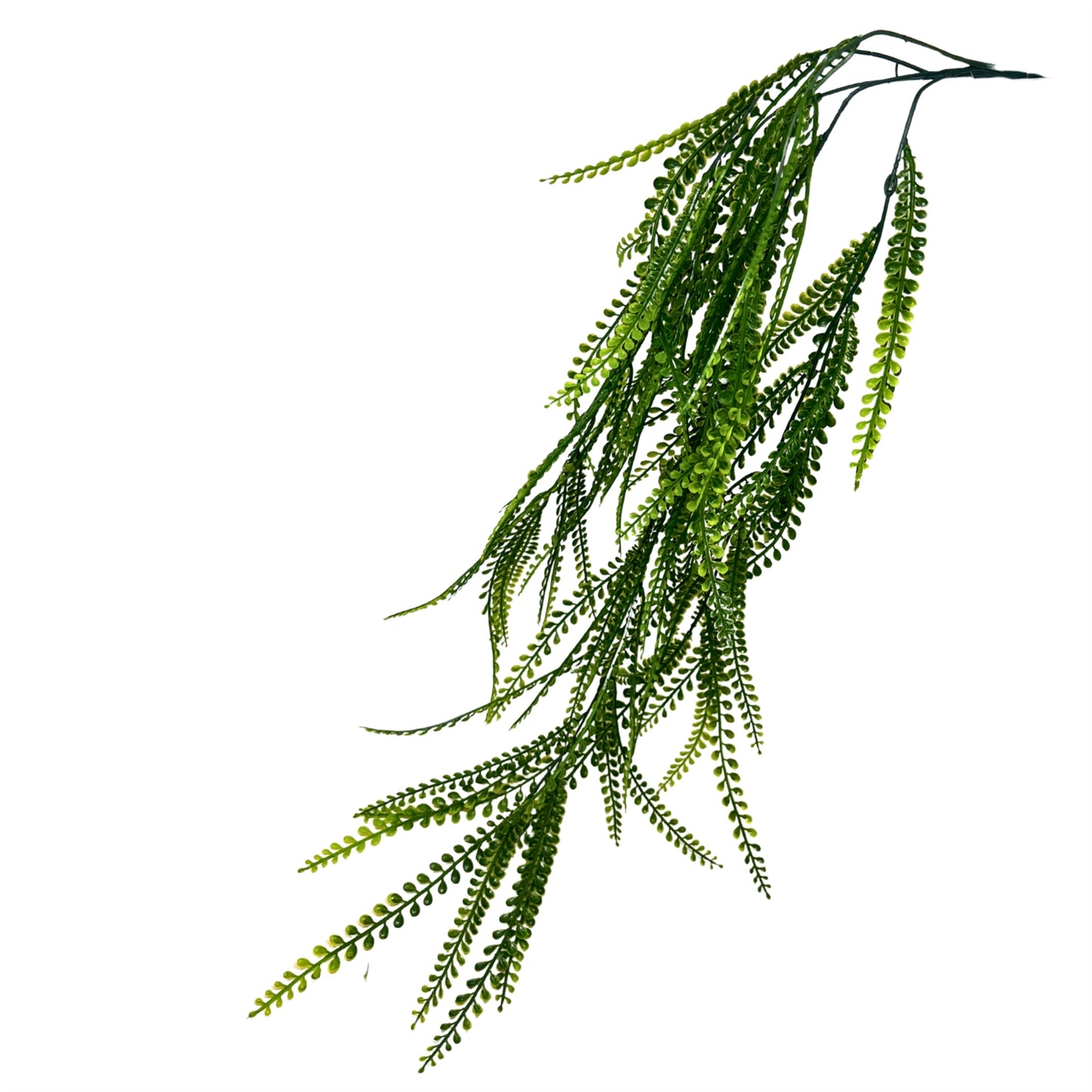 Hanging Button Grass Vine - 34" - Green | GTE