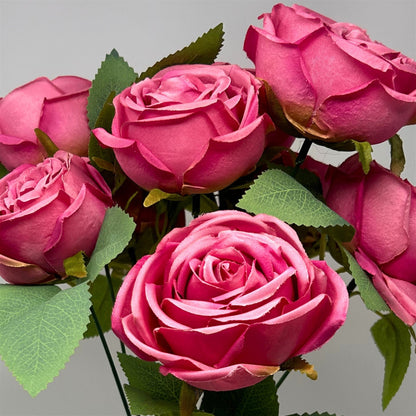 Cabbage Rose Bush x9 - 16" Dark Pink | GTE