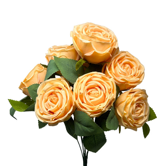 Cabbage Rose Bush x9 - 16" Soft Yellow | GTE
