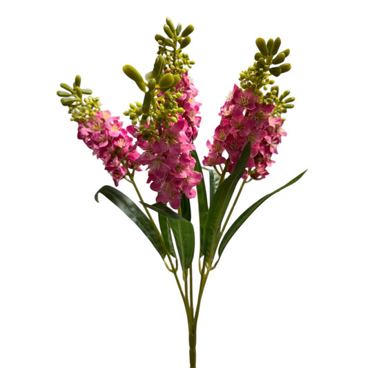 Hyacinth Bush x5 Hot Pink - 21" | GTE
