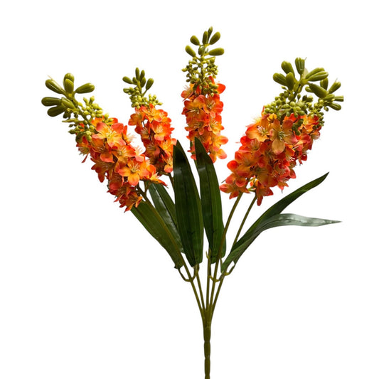 Hyacinth Bush x5 Orange - 21" | GTE