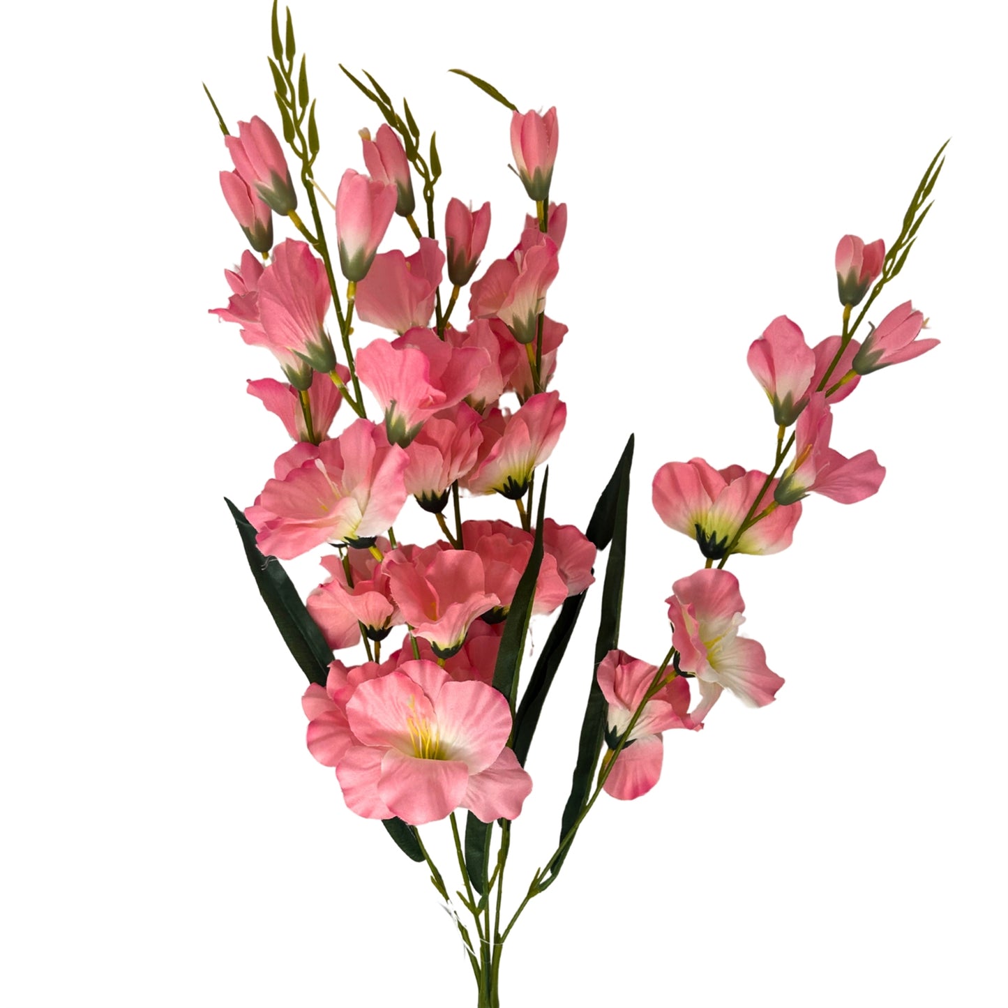 Glad Bush x5 - 24" - Pink | GTE
