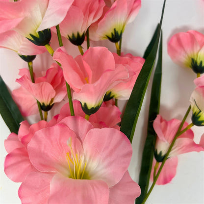 Glad Bush x5 - 24" - Pink | GTE