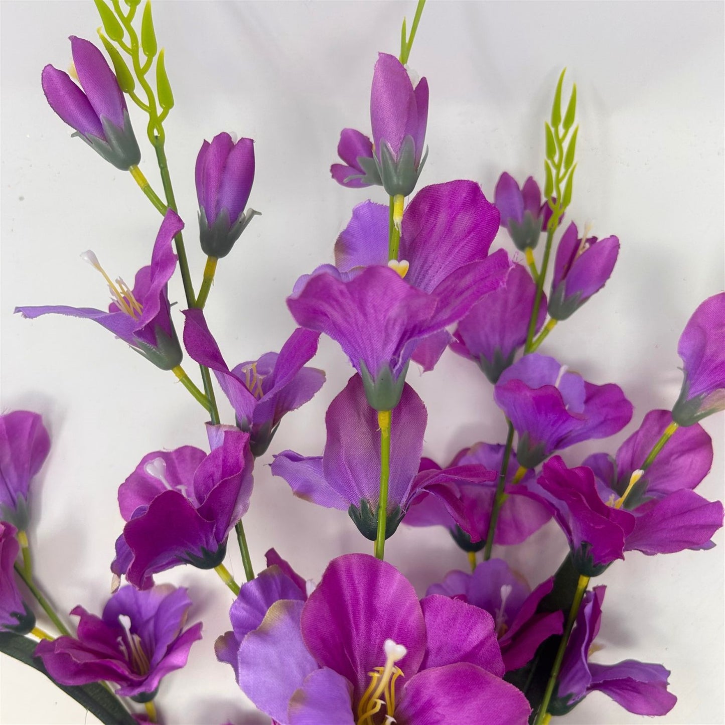 Glad Bush x5 - 24" - Purple | GTE