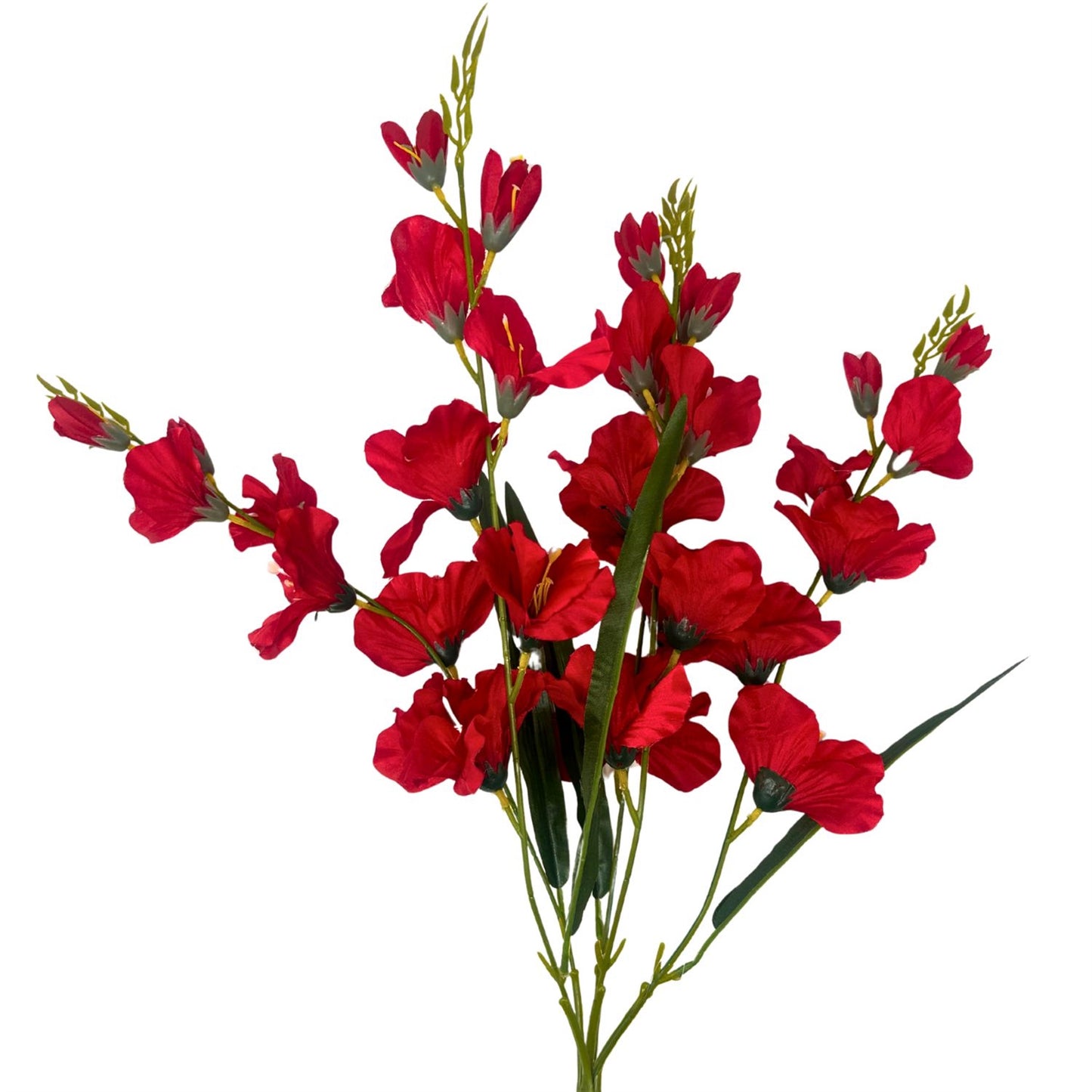 Glad Bush x5 - 24" - Red | GTE