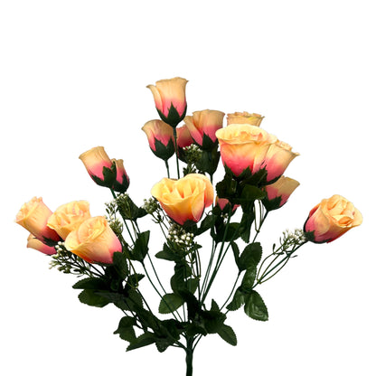 Rose Bud Bush x18 w/ Filler 18" - Apricot | GTE