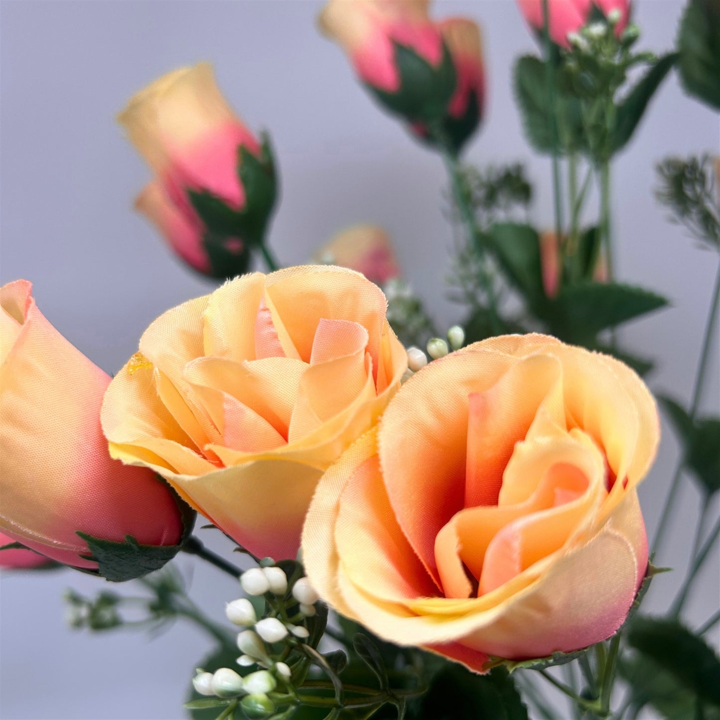 Rose Bud Bush x18 w/ Filler 18" - Apricot | GTE