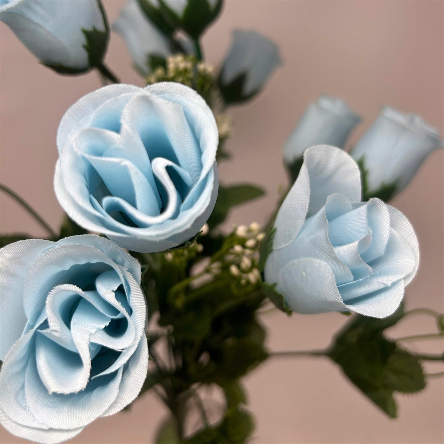 Rose Bud Bush x18 w/ Filler 18" - Light Blue | GTE