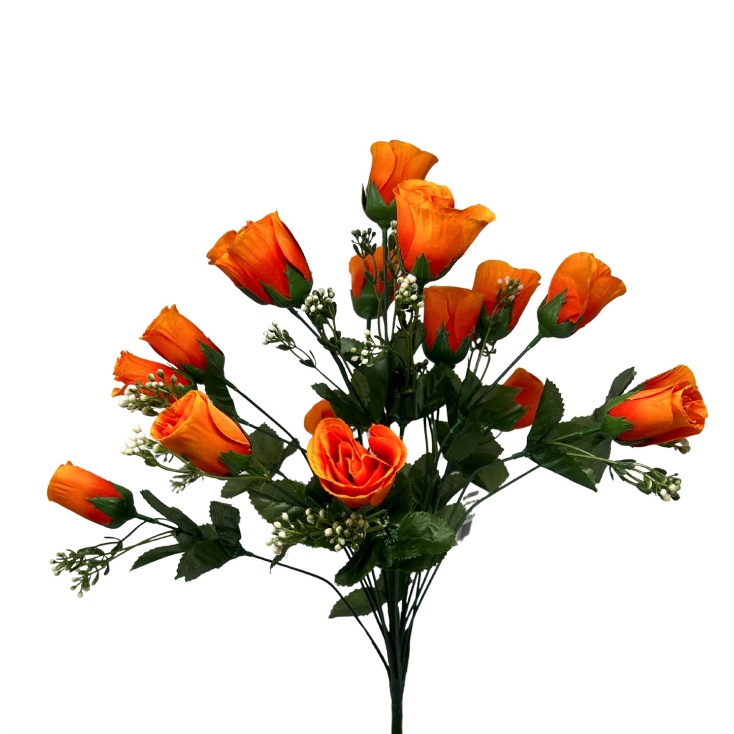 Rose Bud Bush x18 w/ Filler 18" - Orange | GTE