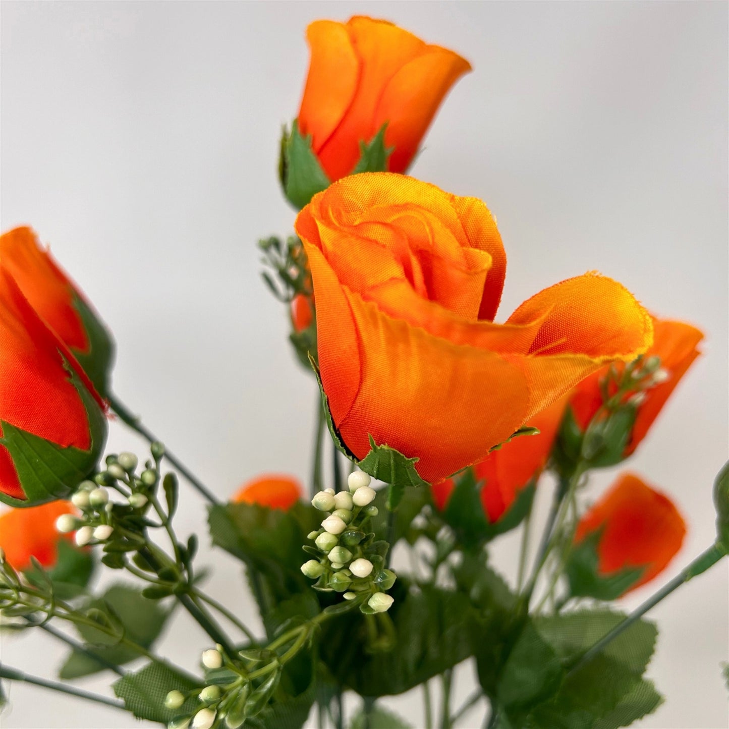 Rose Bud Bush x18 w/ Filler 18" - Orange | GTE