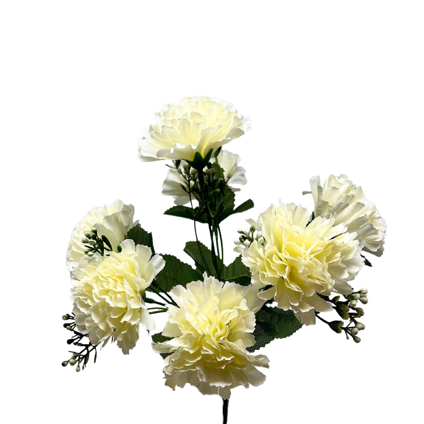 Carnation Bush x7 Cream - 13" | GTE