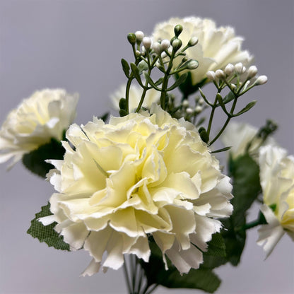 Carnation Bush x7 Cream - 13" | GTE