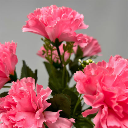 Carnation Bush x7 - Pink -13" | GTE