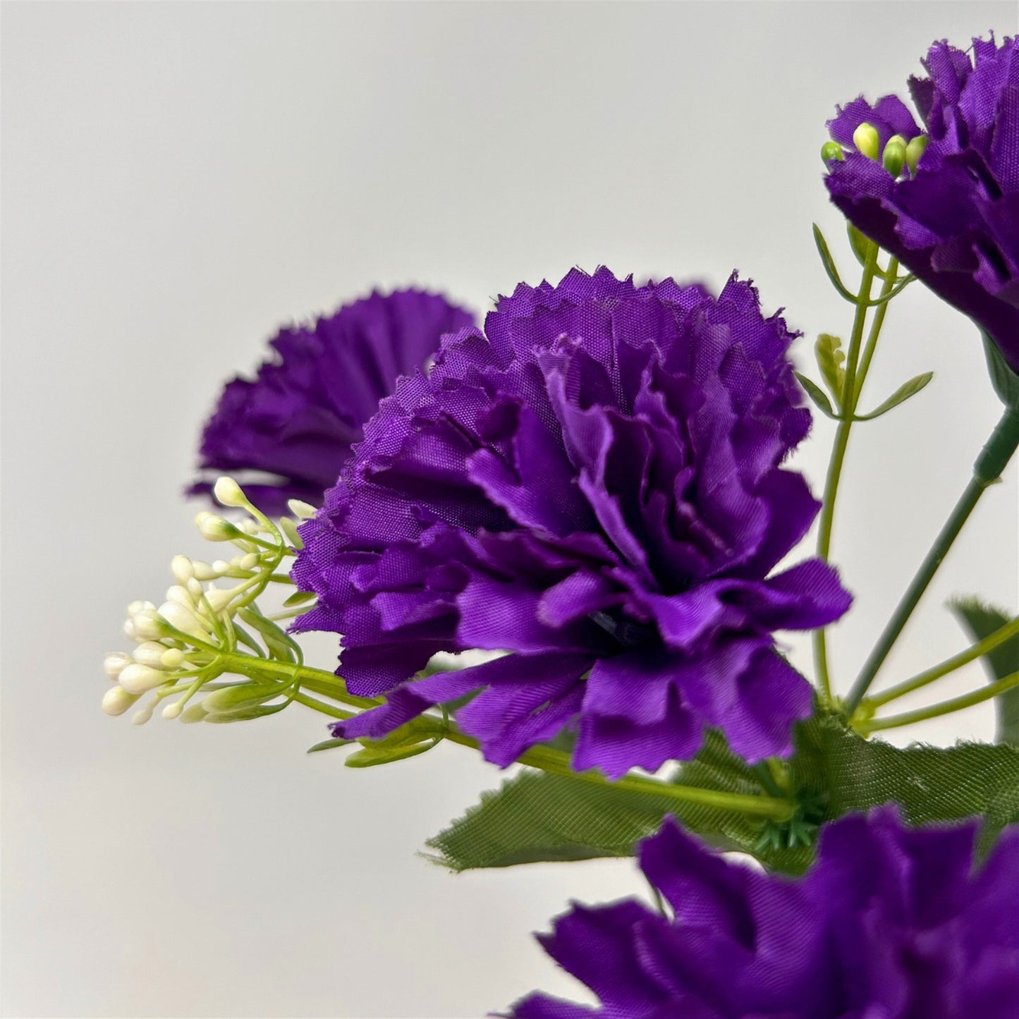 Carnation Bush x7 - Purple 13" | GTE