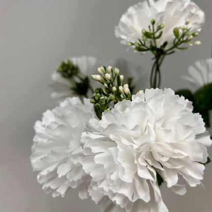 Carnation Bush x7 White - 13" | GTE