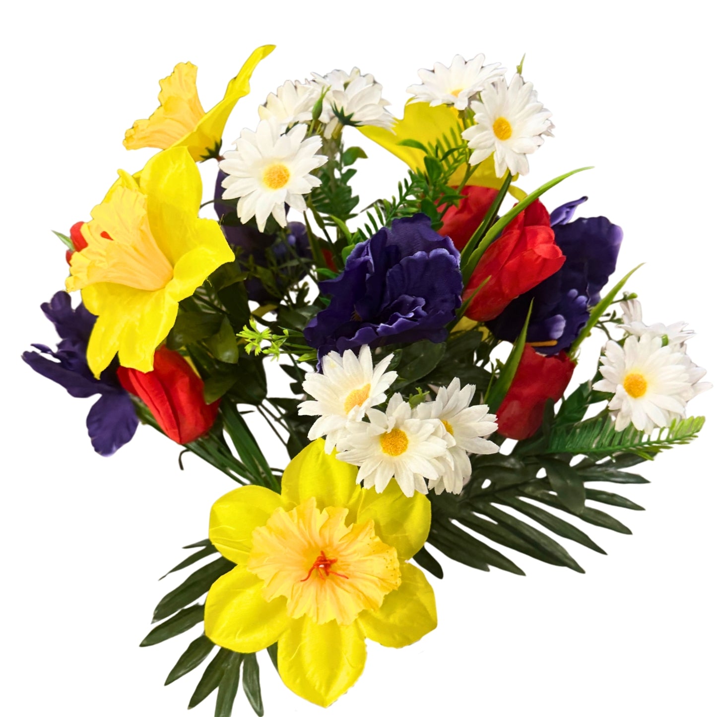 Daffodil/Iris/Tulip Bush x24 - Red/Yellow/Purple | SXE