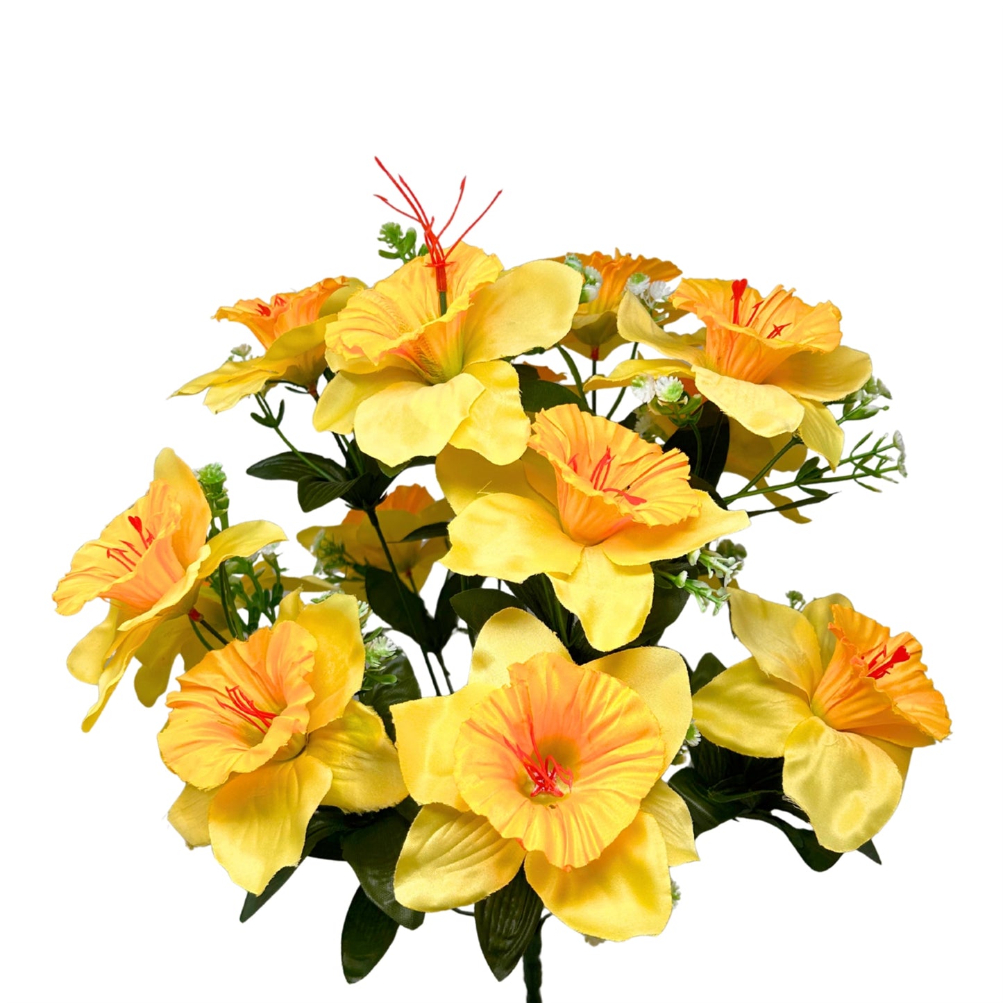 Daffodil Bush x14 - Yellow | SXE