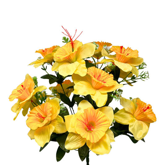 Daffodil Bush x14 - Yellow | SXE
