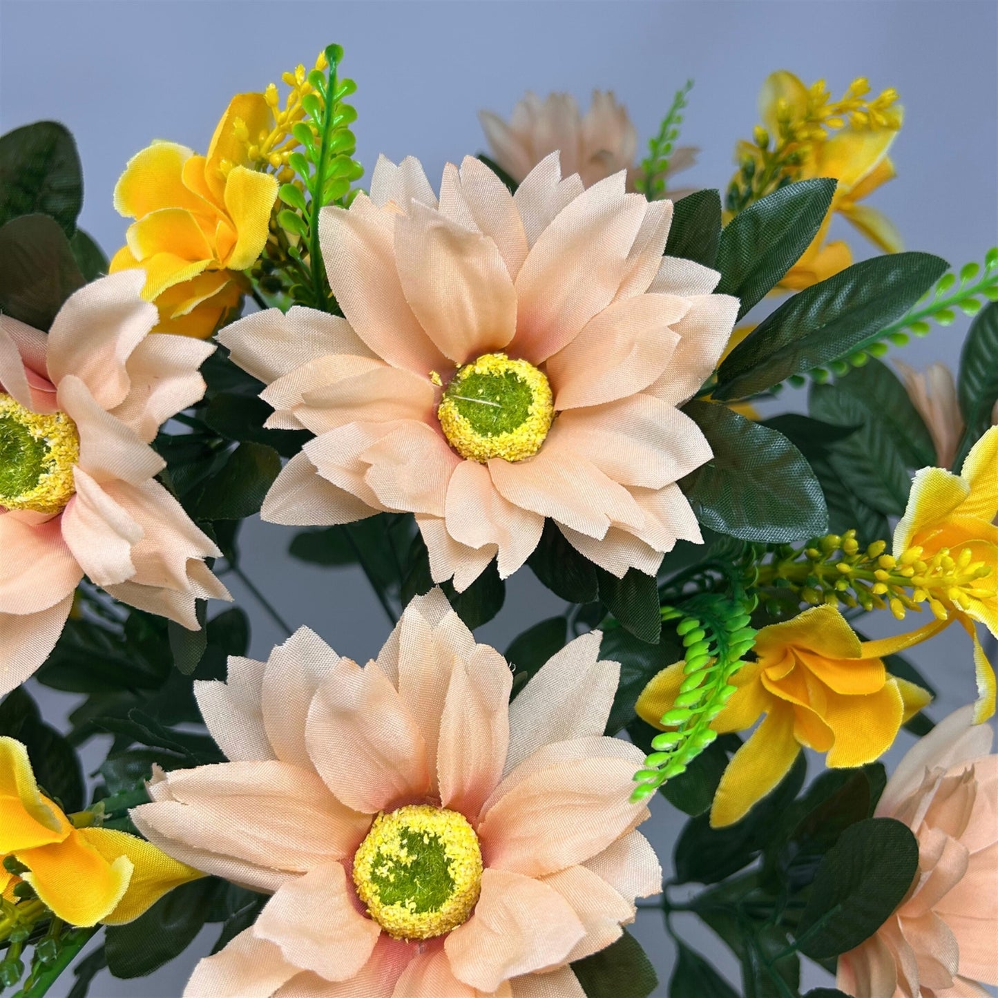 Gerbera/Orchid Bush x18 - Peach | SXE