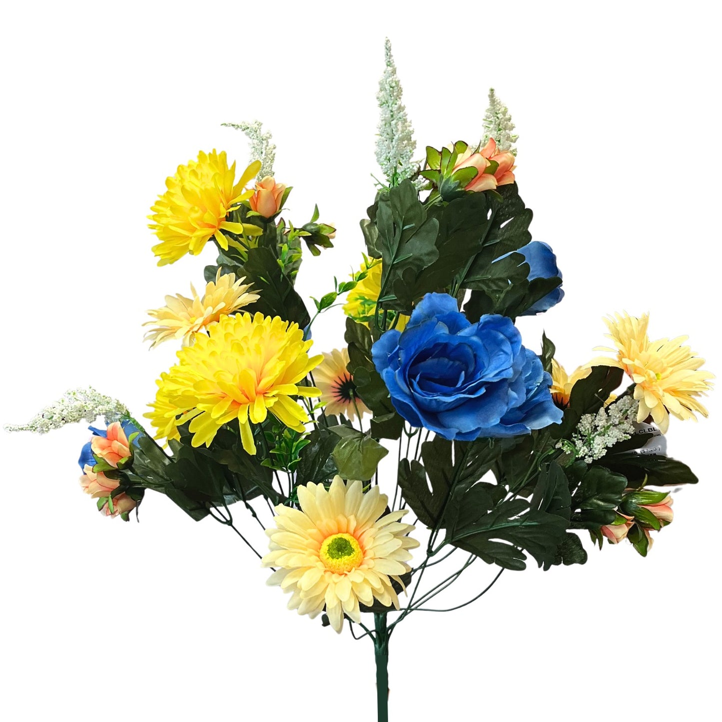 Rose/Mum/Gerbera Bush x24 - Yellow/Coral/Blue | SXE