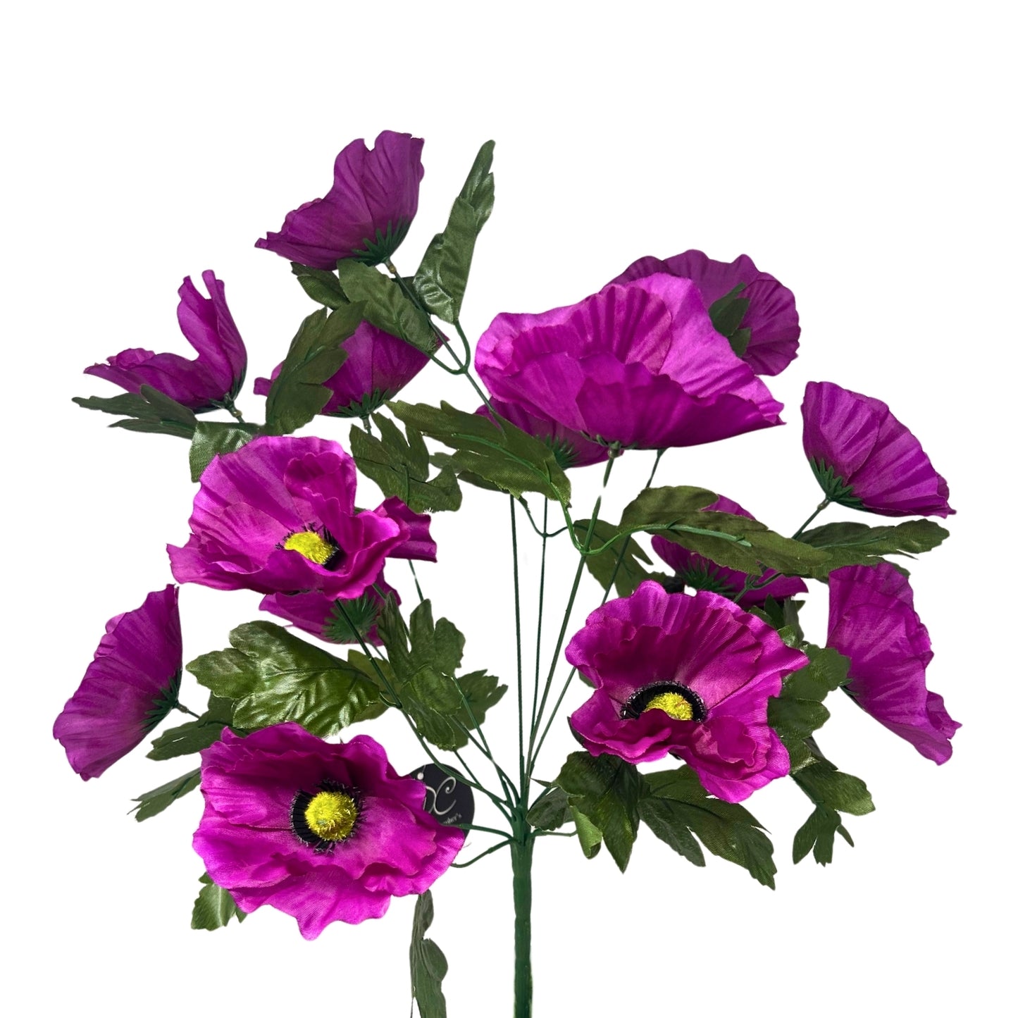 Poppy Bush x14 - Purple | SXE