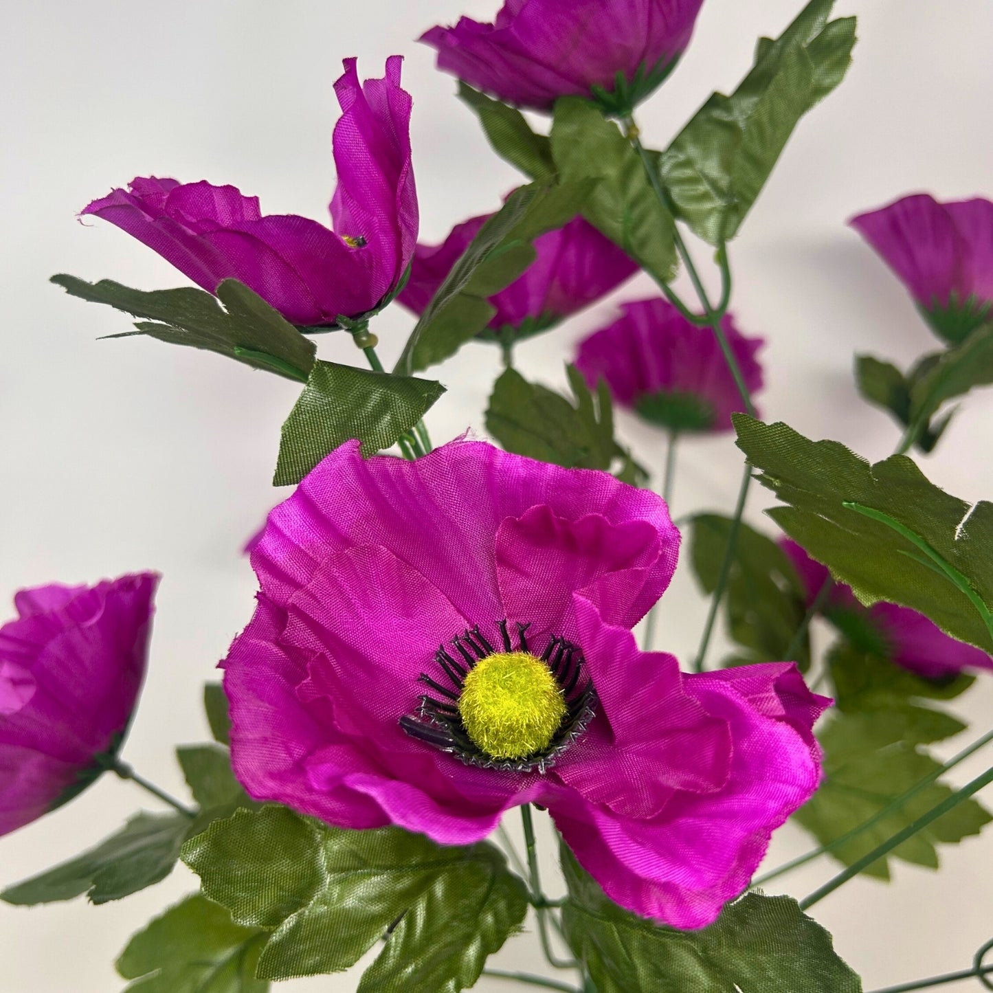 Poppy Bush x14 - Purple | SXE