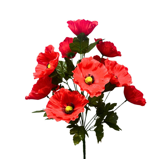 Poppy Bush x14 - Red | SXE