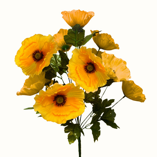 Poppy Bush x14 - Yellow | SXE