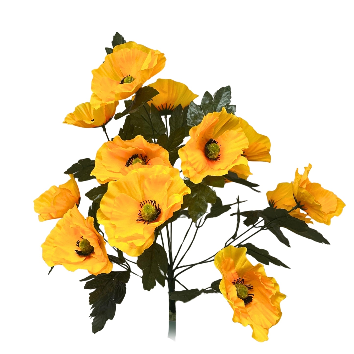 Poppy Bush x14 - Yellow | SXE