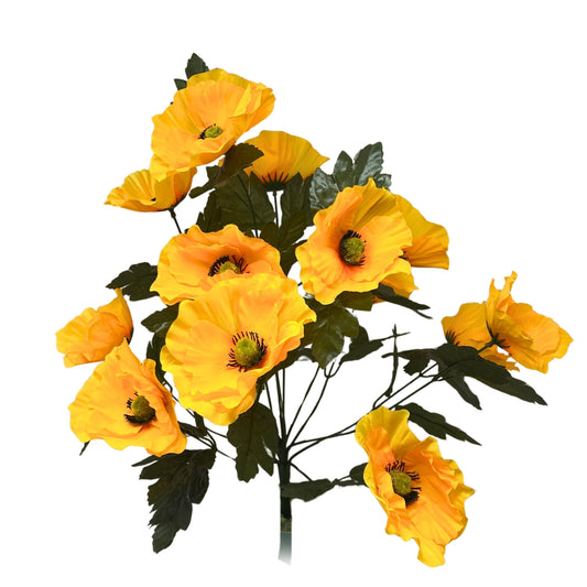 Poppy Bush x14 - Yellow | SXE