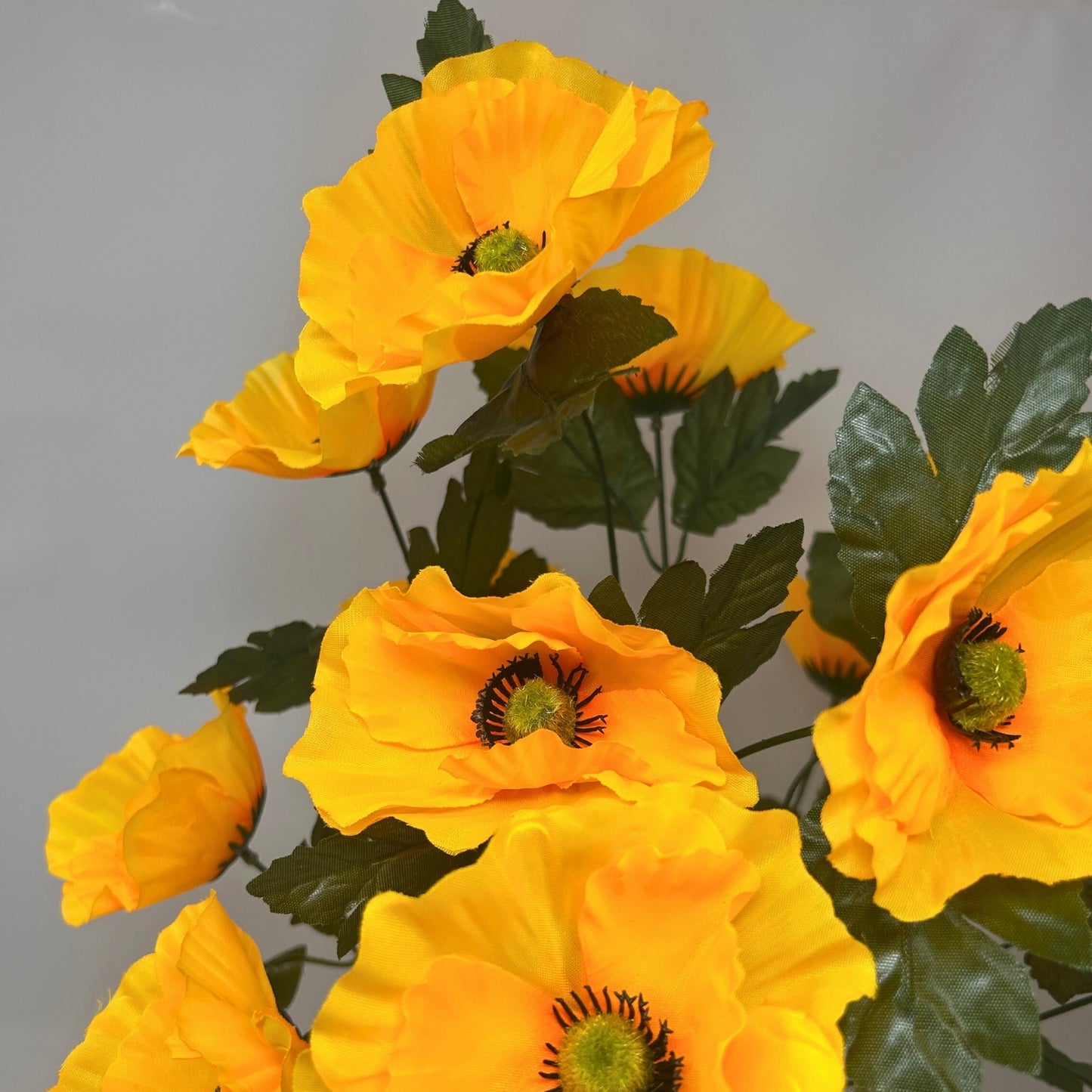 Poppy Bush x14 - Yellow | SXE