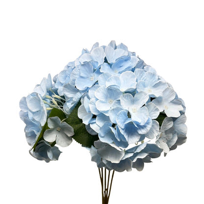 Southern Hydrangea Bush x5 - 18" Blue | QOE