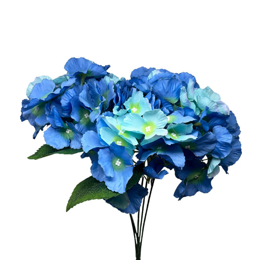 Southern Hydrangea Bush x5 - 18" Blue Mix | QOE