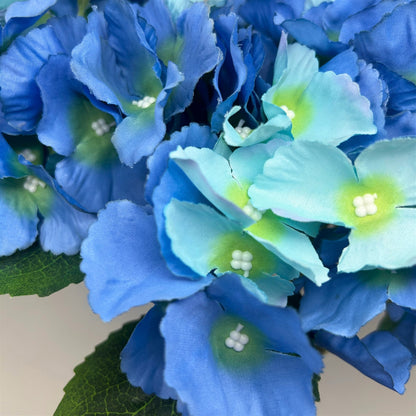 Southern Hydrangea Bush x5 - 18" Blue Mix | QOE