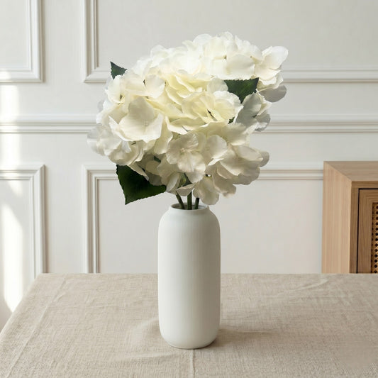 Southern Hydrangea Bush x5 - 18" Cream | QOE