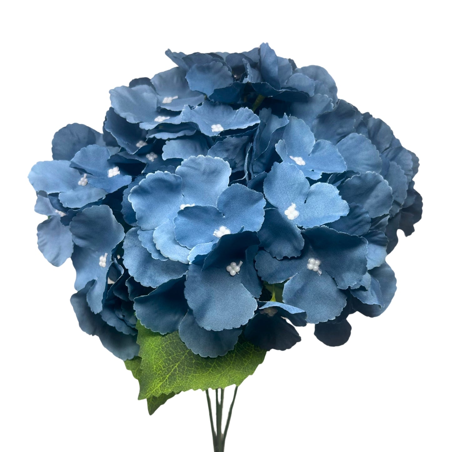Southern Hydrangea Bush x5 - 18" Deep Blue | QOE