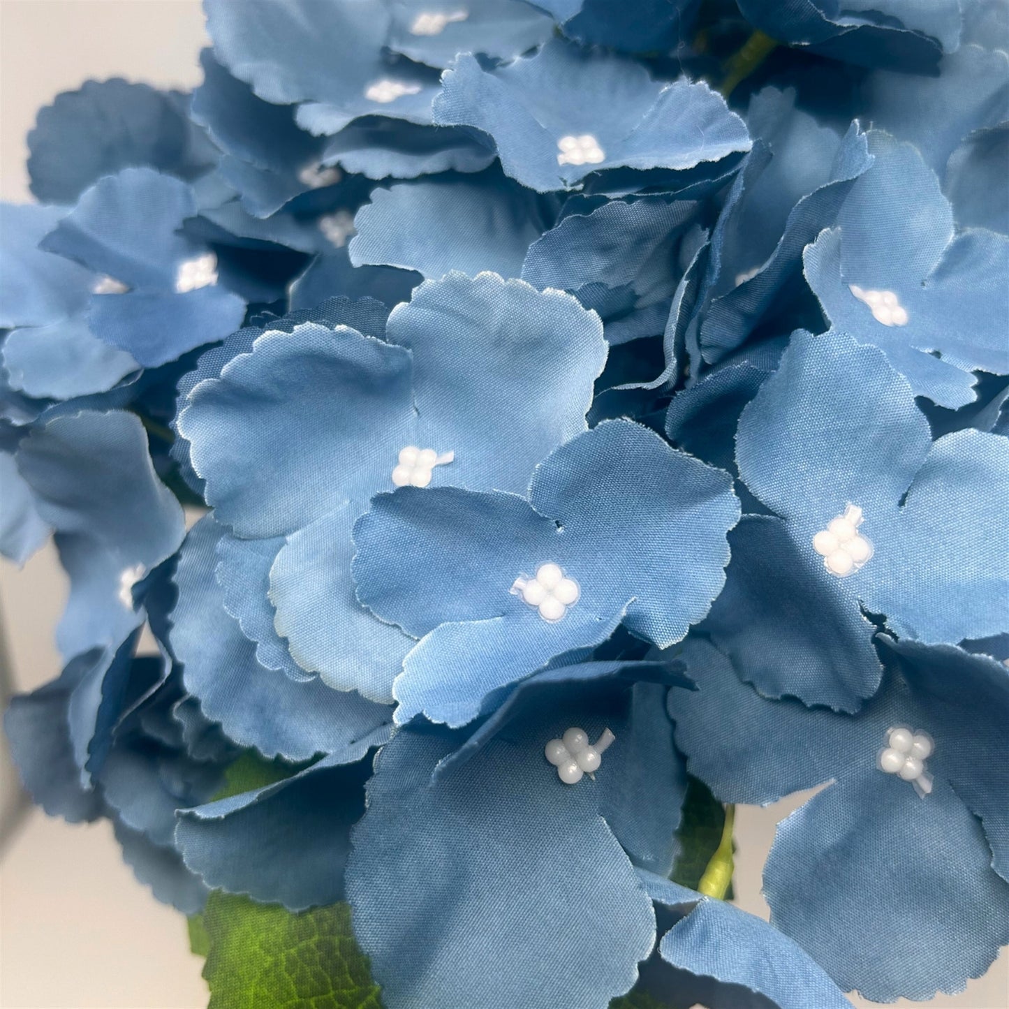 Southern Hydrangea Bush x5 - 18" Deep Blue | QOE