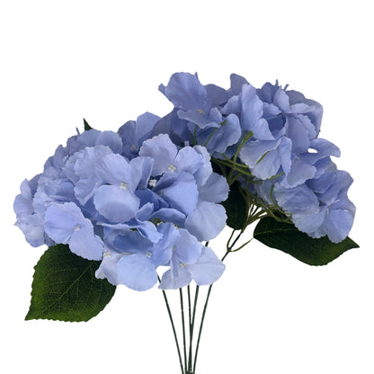 Southern Hydrangea Bush x5 - 18" French Blue | QOE