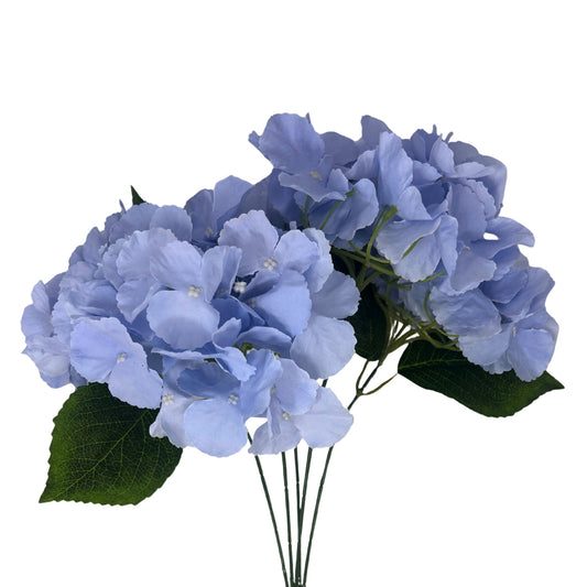 Southern Hydrangea Bush x5 - 18" French Blue | QOE