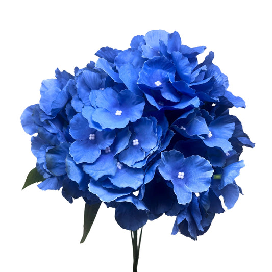 Southern Hydrangea Bush x5 - 18" Helio Blue | QOE