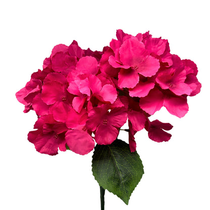 Southern Hydrangea Bush x5 - 18" Hot Pink | QOE