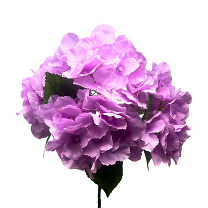 Southern Hydrangea Bush x5 - 18" Lavender | QOE