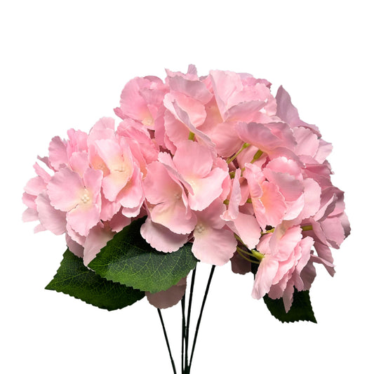 Southern Hydrangea Bush x5 - 18" LT. Pink | QOE