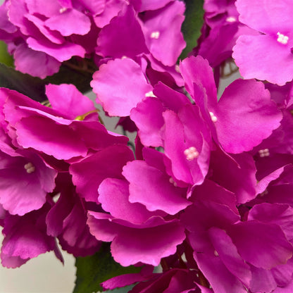 Southern Hydrangea Bush x5 - 18" Orchid | QOE