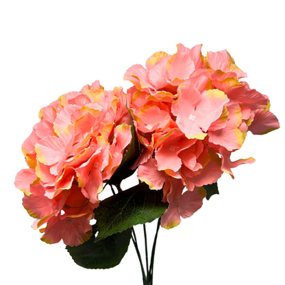 Southern Hydrangea Bush x5 - 18" Pink Green | QOE